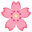 :cherry_blossom: 🌸