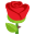 :rose: ๐น