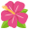 :hibiscus: ๐บ
