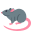 :rat: đ