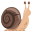 :snail: ๐