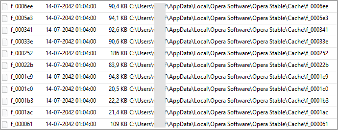 Opera Cache year 2042 - 19062019 064436.png