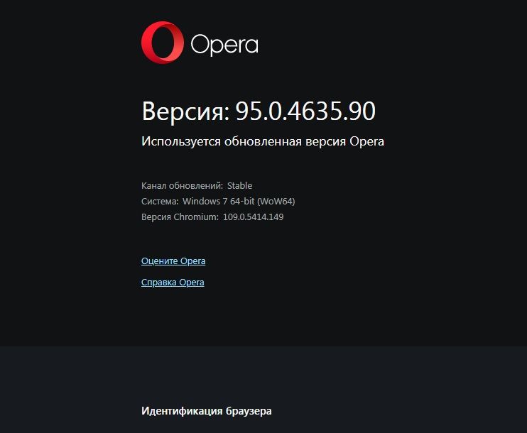 Opera Снимок_2024-01-05_205154_opera.jpg