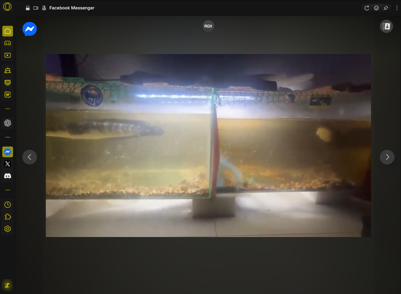 a8b133b6-303a-40dc-ad80-bf1421b90f34-image.png