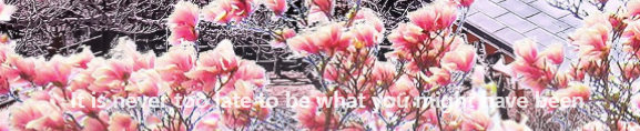 43f8a297-6006-407a-89cc-bebf7f93759d-image.png