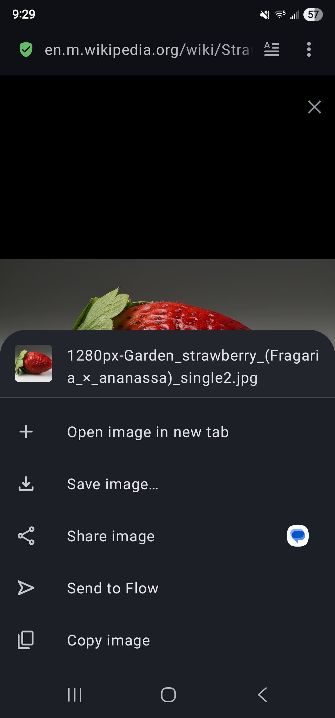 Screenshot_20250520_092907_Opera.jpg