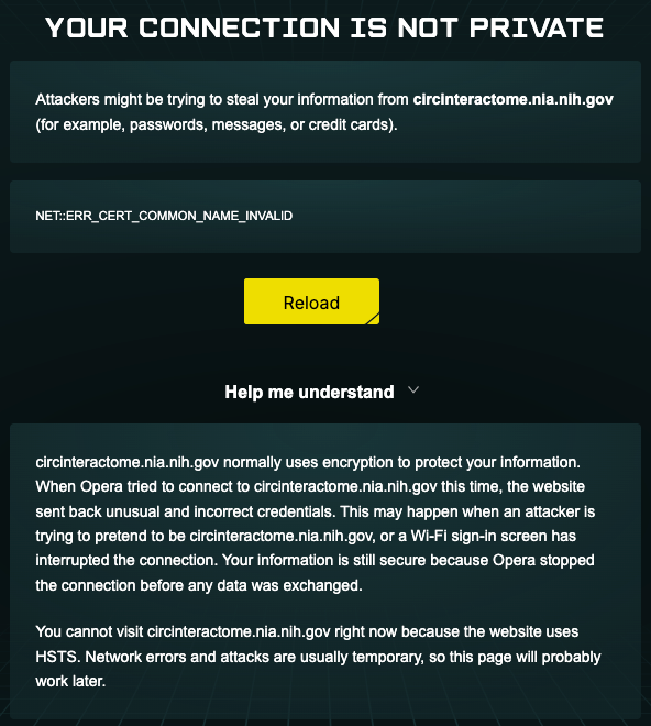 07541c91-369d-49b0-a240-195e84d69f25-image.png