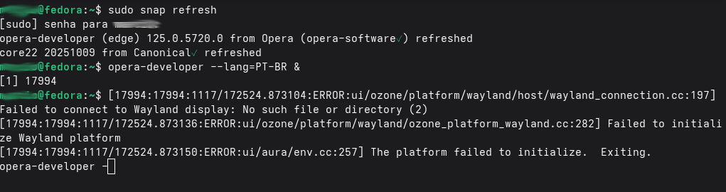 Captura de tela de 2025-11-17 17-26-41.png