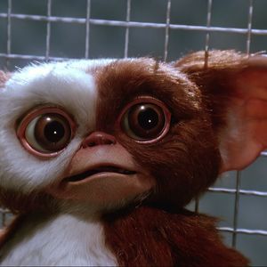 StiffGizmo