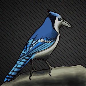 bjbtrader