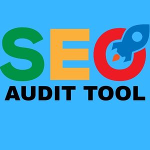 searchenginerealmaudittool