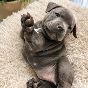 Preciousbby98