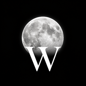 Wit-wicky