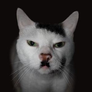 Beans-inme