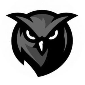 811Owl811