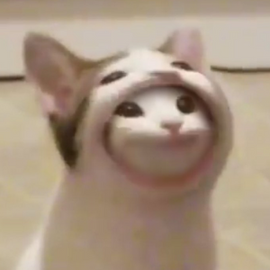 DERPYGUY11