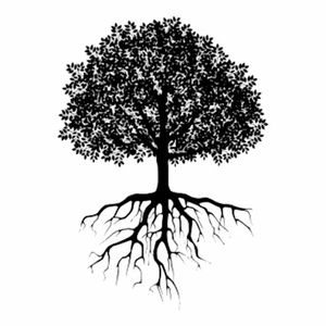 blackroots