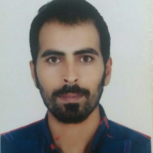 masoud3102