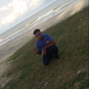 Farisardani