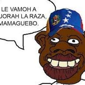 joaquin2222