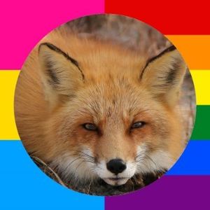 FooFieOwO