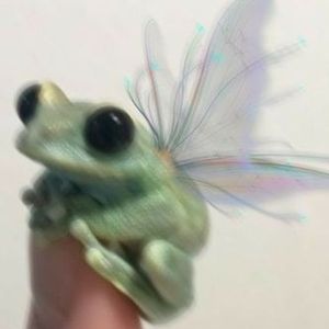 kuwuthefreg