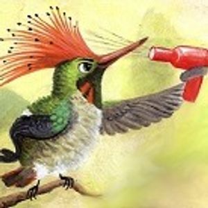 Dorys65