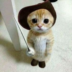 kattokit