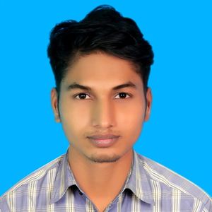 mahmudulhasanbd