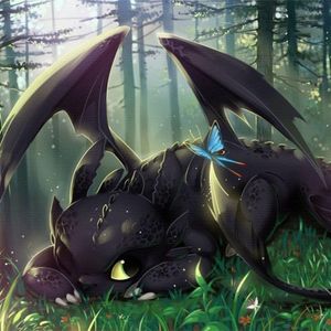 Dragon-Helper