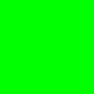 TheGreenScreen