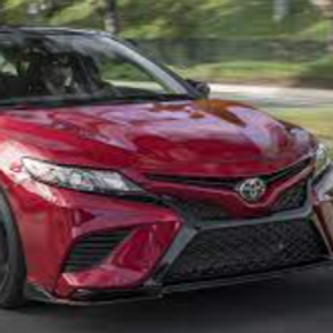 non-playable-character