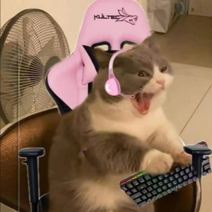 Blxrr