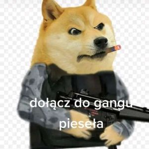 szymeq13371