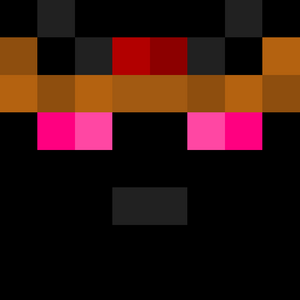 LordEnderKitty