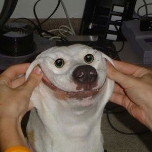 Therandombro