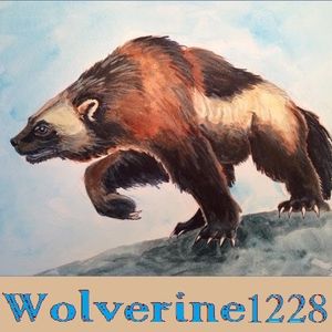 Wolverine1228