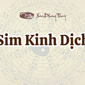 simkinhdichsptvn