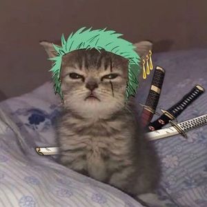 Litlleofc