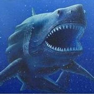 Megalodon9