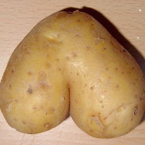Buttato