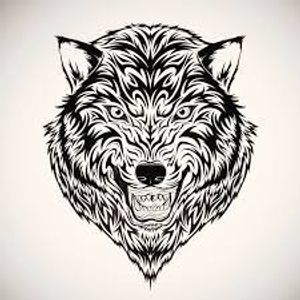 dinamicwolf