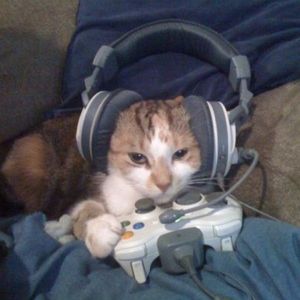 PLAYERSAD