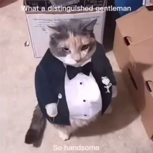 MeNameJeff438