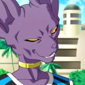 Beerus-sama666