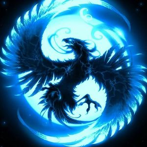 NightRaptor
