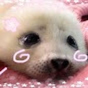 seals4l1f3XD